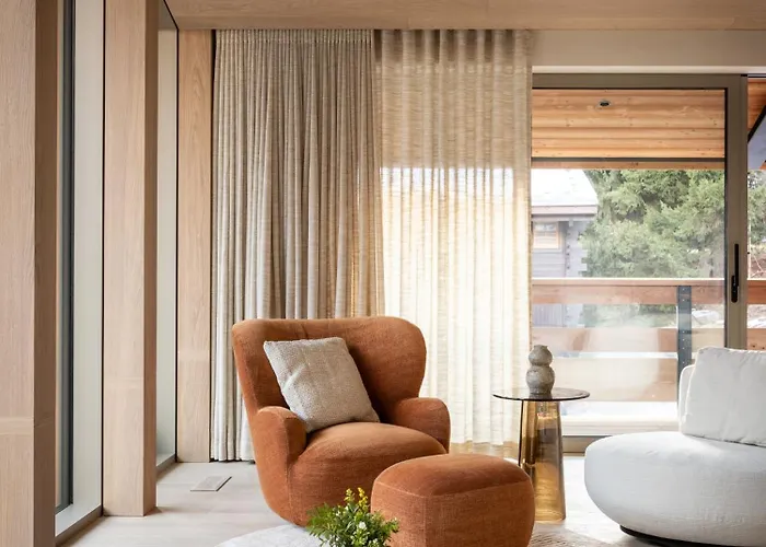 Acorn شامونكس